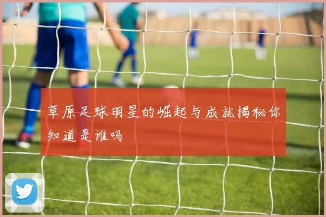 草原足球明星的崛起与成就揭秘你知道是谁吗