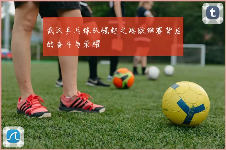武汉乒乓球队崛起之路欧锦赛背后的奋斗与荣耀