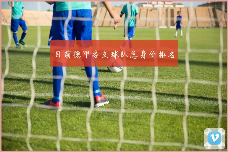 目前德甲各支球队总身价排名
