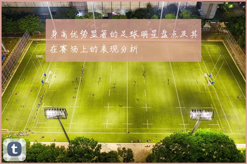 身高优势显著的足球明星盘点及其在赛场上的表现分析