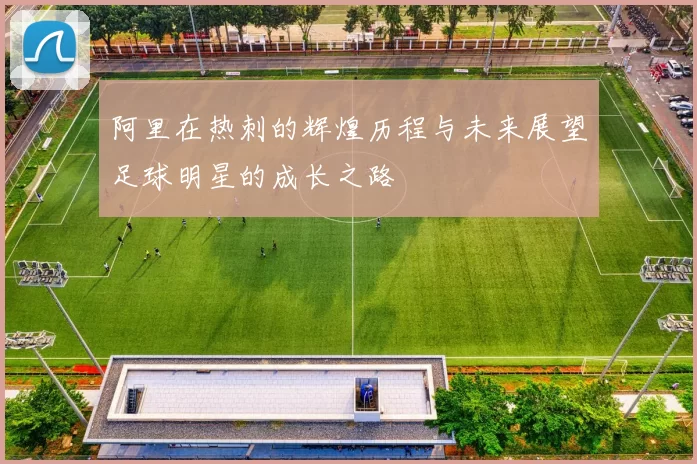 阿里在热刺的辉煌历程与未来展望足球明星的成长之路