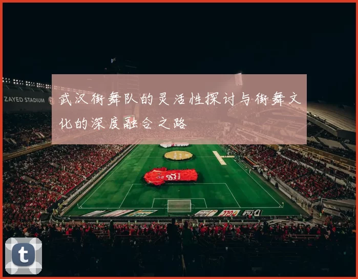 武汉街舞队的灵活性探讨与街舞文化的深度融合之路