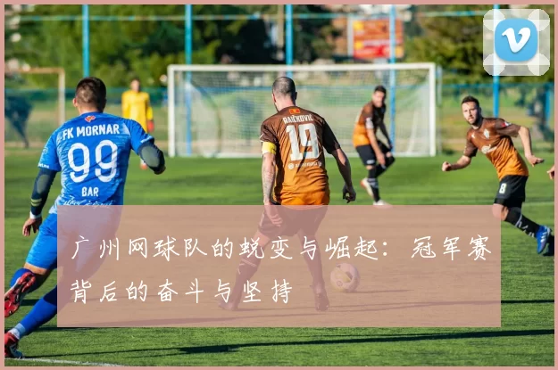 广州网球队的蜕变与崛起：冠军赛背后的奋斗与坚持