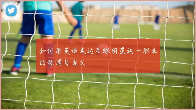 如何用英语表达足球明星这一职业的称谓与含义