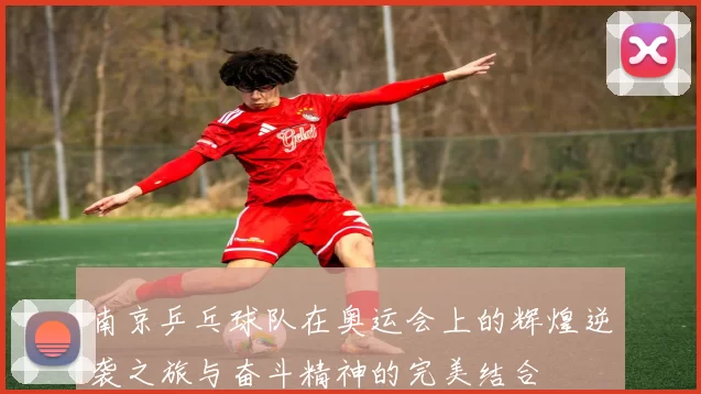 南京乒乓球队在奥运会上的辉煌逆袭之旅与奋斗精神的完美结合