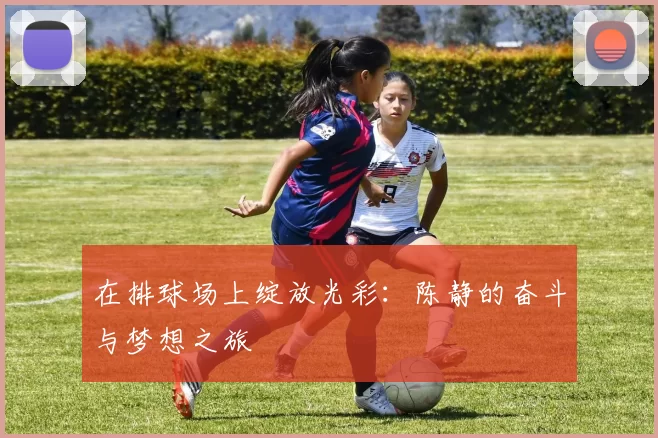 在排球场上绽放光彩：陈静的奋斗与梦想之旅