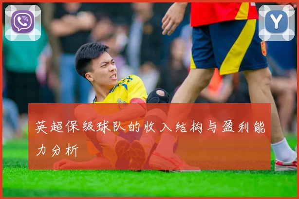 英超保级球队的收入结构与盈利能力分析