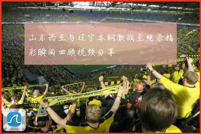 山东西王与辽宁本钢激战至绝杀精彩瞬间回顾视频分享