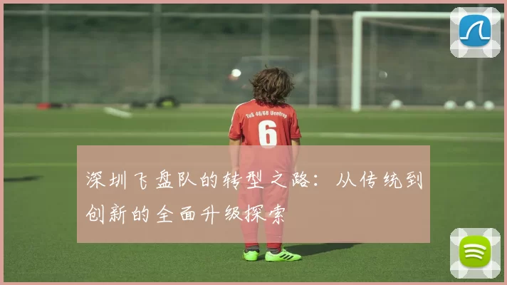 深圳飞盘队的转型之路：从传统到创新的全面升级探索