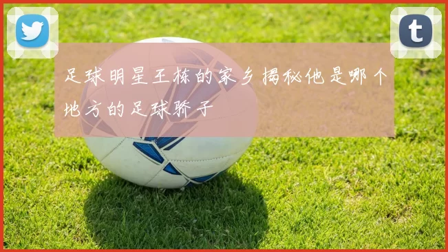 足球明星王栋的家乡揭秘他是哪个地方的足球骄子