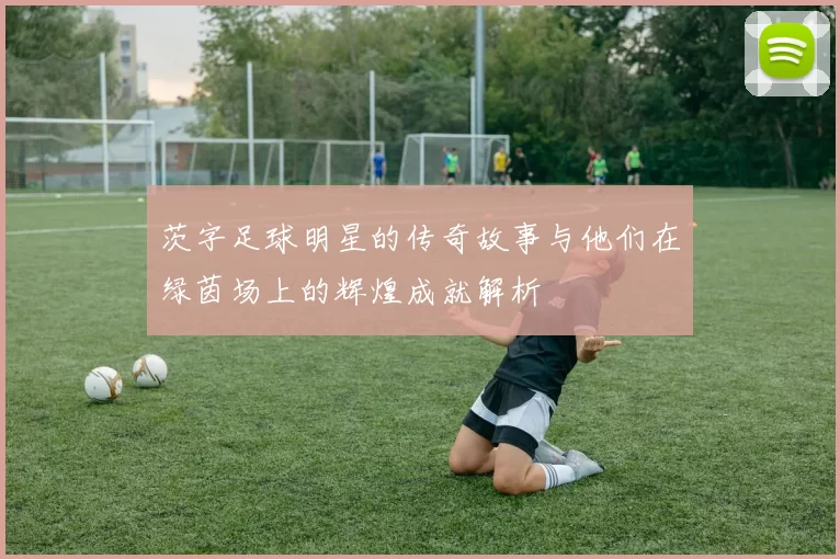 茨字足球明星的传奇故事与他们在绿茵场上的辉煌成就解析