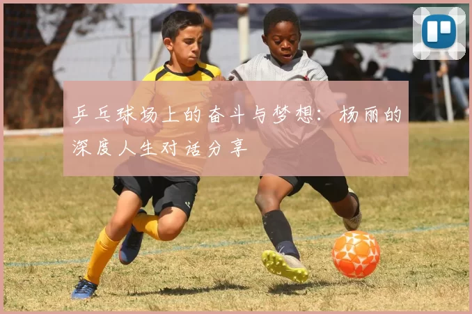 乒乓球场上的奋斗与梦想：杨丽的深度人生对话分享