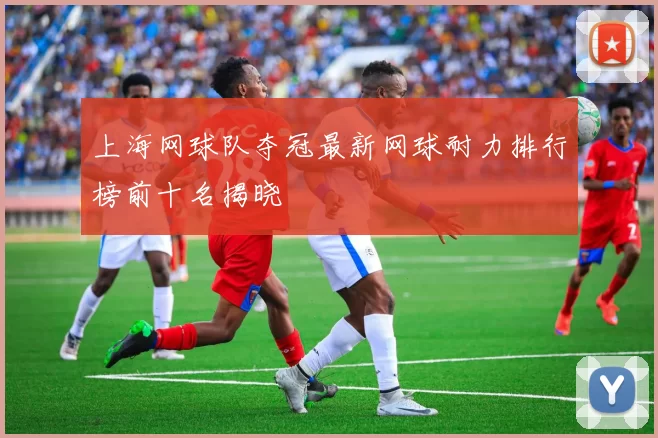上海网球队夺冠最新网球耐力排行榜前十名揭晓