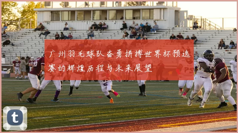 广州羽毛球队奋勇拼搏世界杯预选赛的辉煌历程与未来展望
