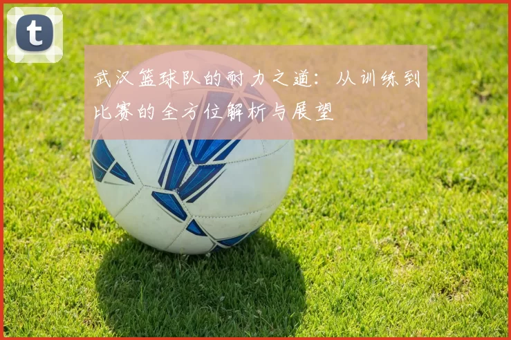 武汉篮球队的耐力之道：从训练到比赛的全方位解析与展望
