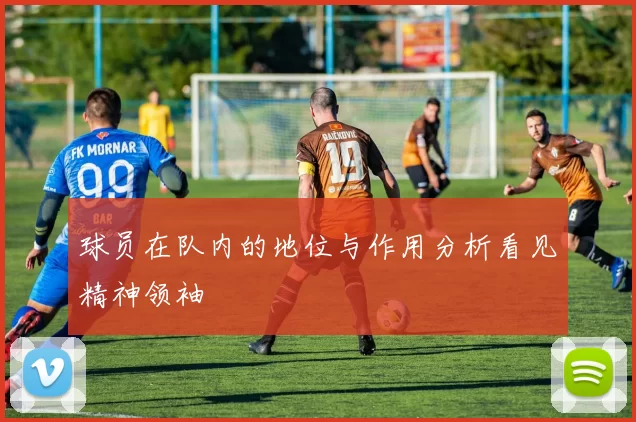 球员在队内的地位与作用分析看见精神领袖