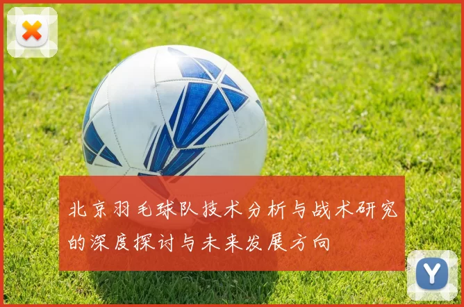 北京羽毛球队技术分析与战术研究的深度探讨与未来发展方向