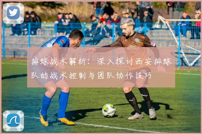 排球战术解析：深入探讨西安排球队的战术控制与团队协作技巧