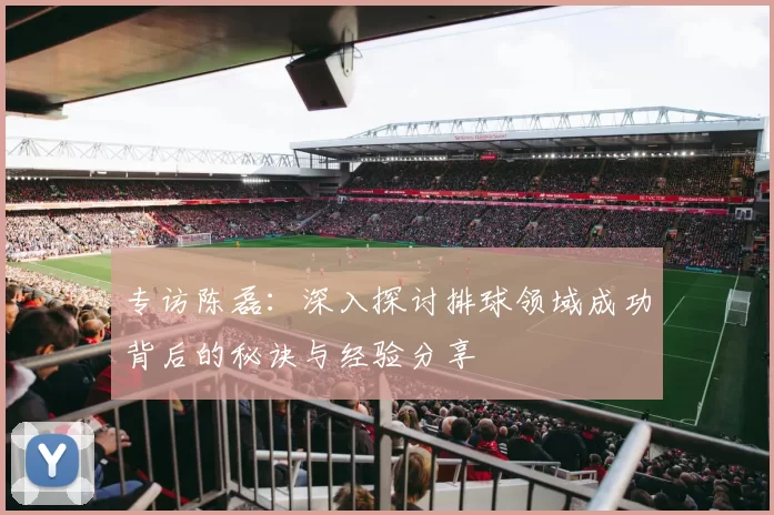 专访陈磊：深入探讨排球领域成功背后的秘诀与经验分享